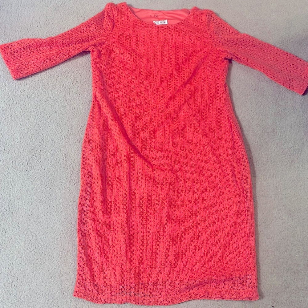 Lined Lace Dress